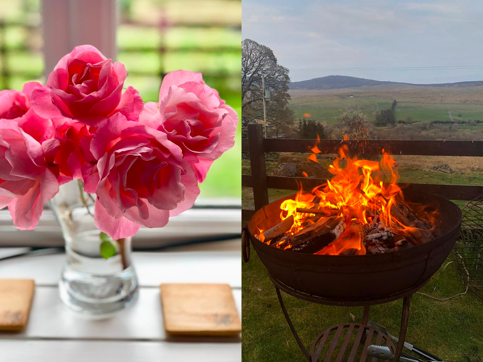flowers and firepit