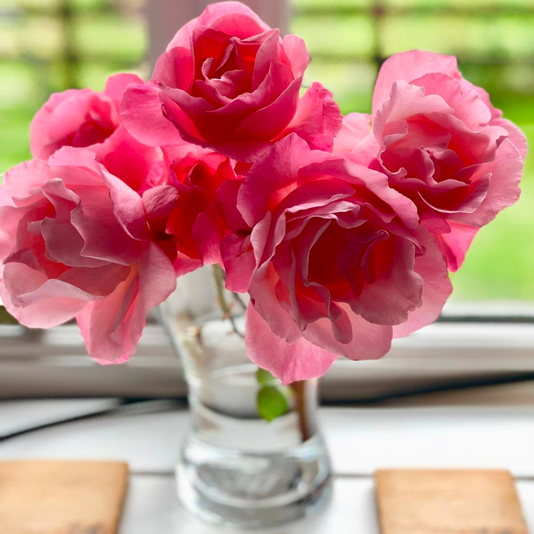 flowers